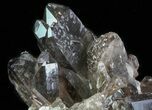 Dark Smoky Quartz Cluster - Large Crystals #60925-2